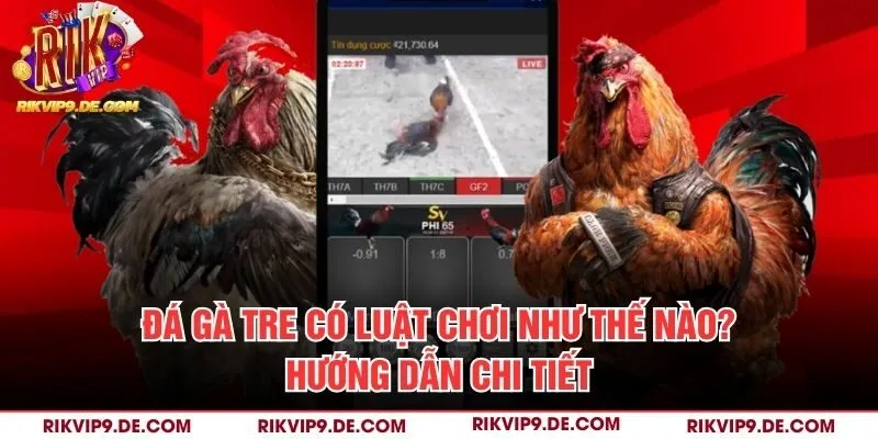 Đá gà tre